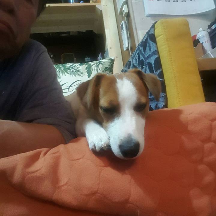 Fc00a031 c671 40f2 b249 f7ebd27c1f5a 1557575645334