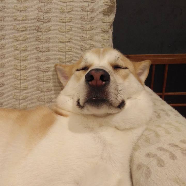 Fc00a274 ebe8 4c0f 8779 b27ce3478ee7 1530877474665