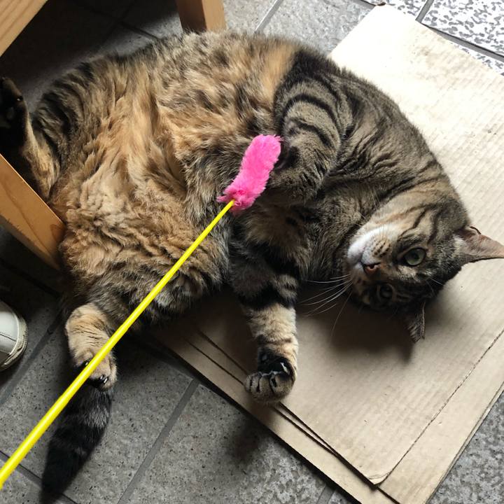 Fc00a342 6fa0 4890 a641 992fac8de70a 1589285127027