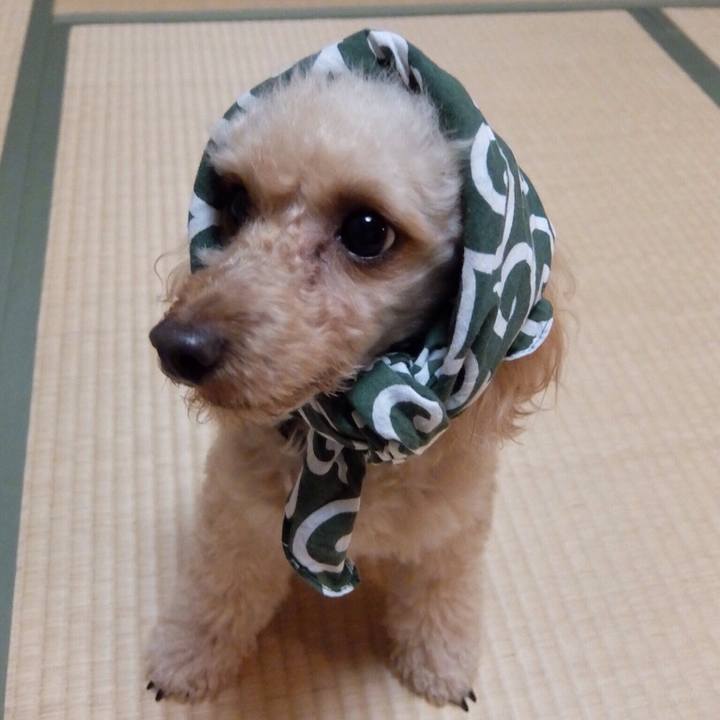 Fc00f245 010d 4004 840e 117a42e2a80e 1542406869504