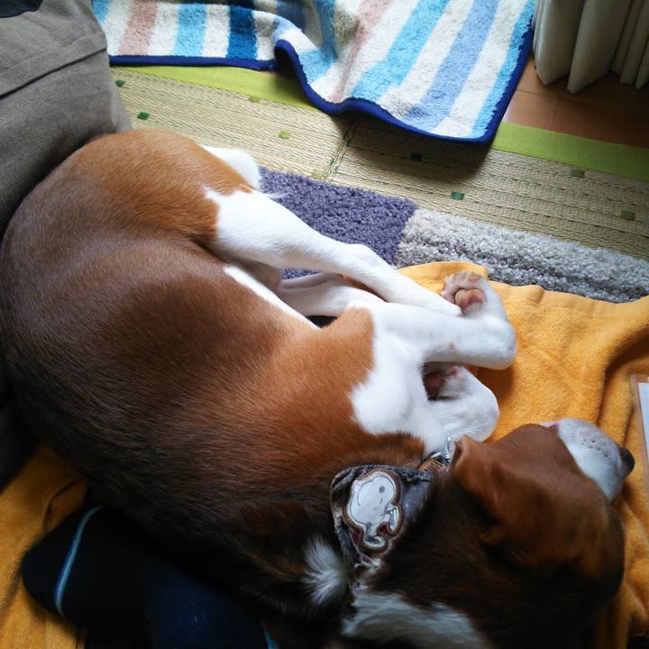 Fc013083 0125 4b4a b17d 46b6b79dbfa5 1593143453991