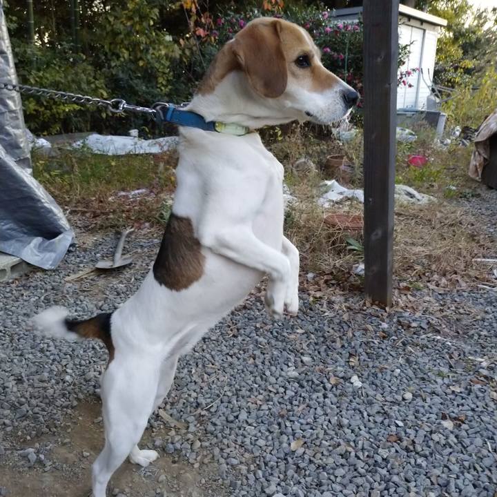 Fc016f83 3ed3 412c 8b45 32bc4efedc42 1606895870554