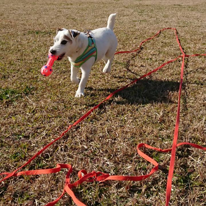 Fc017d55 274d 42f3 bcce 3cfa6ff91209 1580860237259