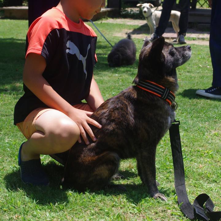 Fc01834a 2875 4da8 bea0 d8fe857fab50 1530522207280