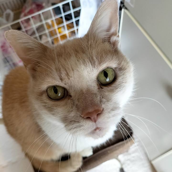 Fc01856c 0985 4e11 94d3 1d0a2c4cc919 1673222354972