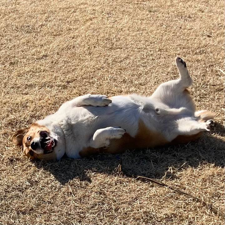 Fc01b7da 3c9b 42c3 acef 241cafa477f6 1674782031342