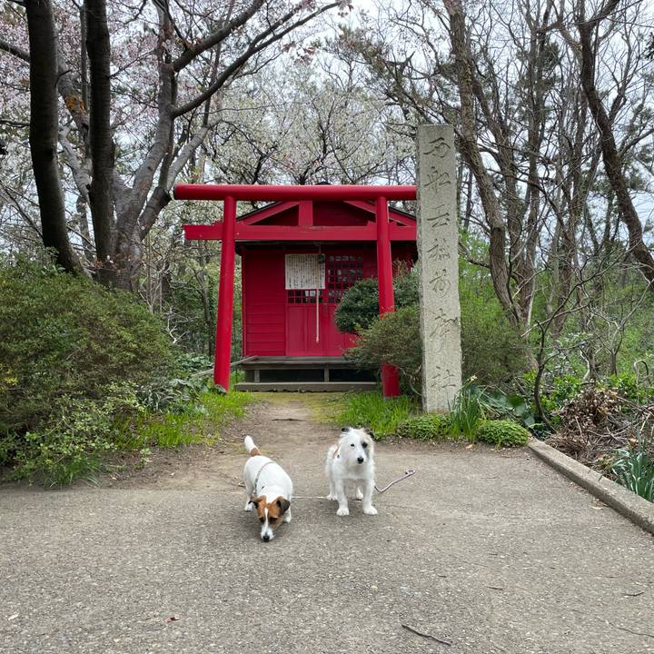 Fc01d9ef d4db 4601 a7d9 65f67d92e7ff 1680738723512