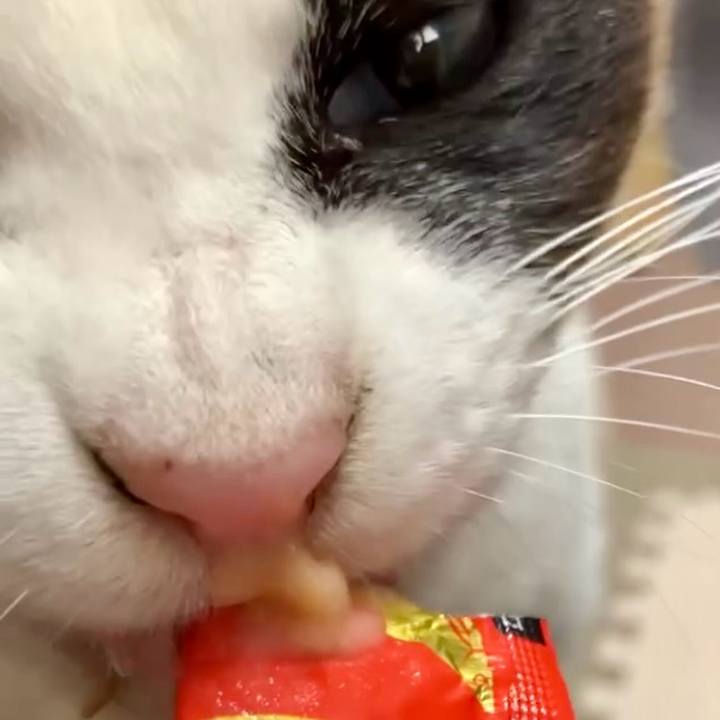 Fc01df3e c6f2 472b 912a 6d433fa802e7 1742521867307