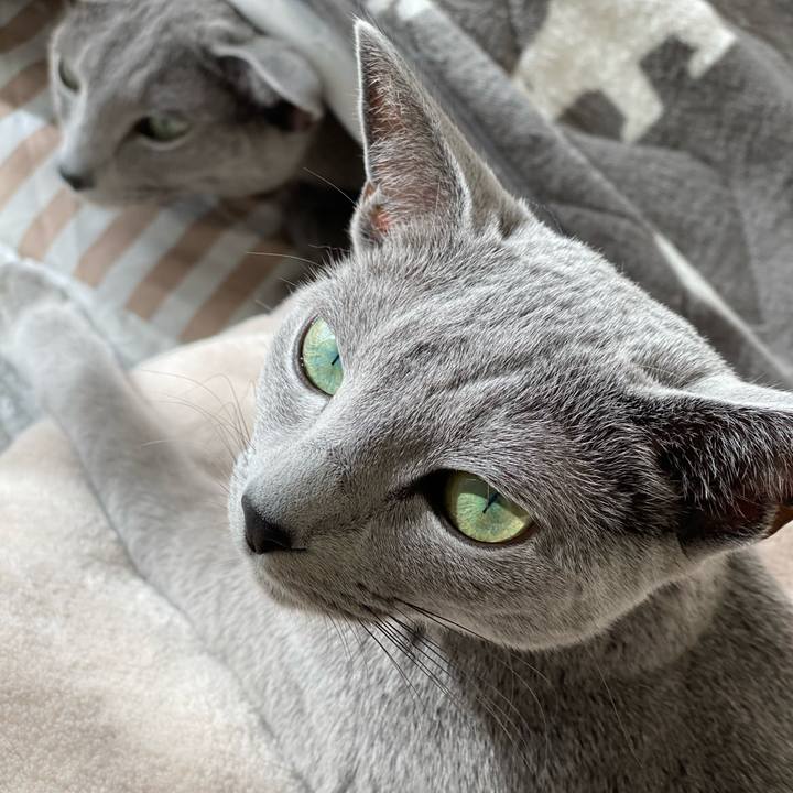 Fc01f121 2ae5 42c2 8497 f100e9392451 1638236479744