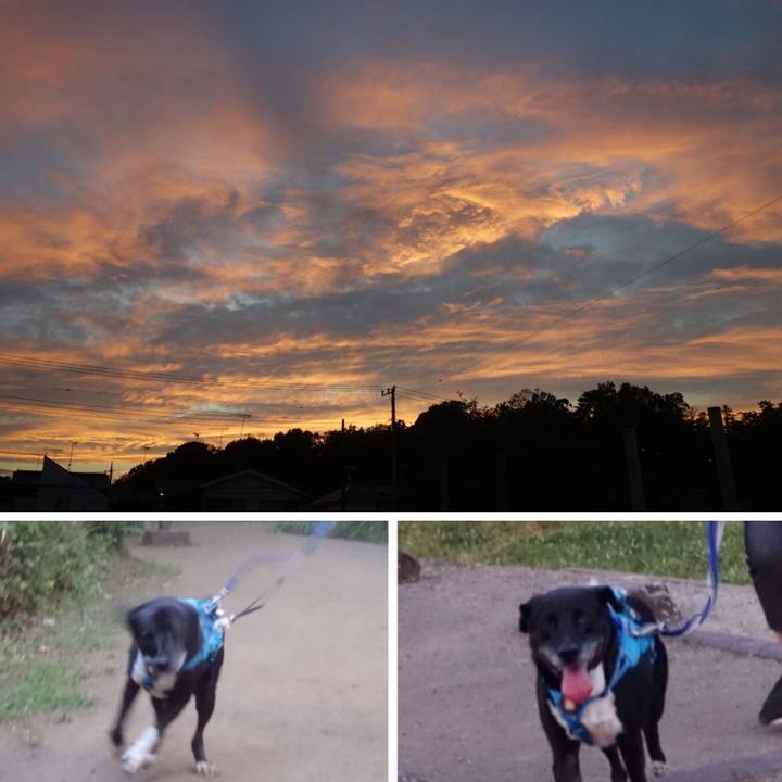 Fc020a4b 2a09 4f4b b060 290436b0029a 1689764169128