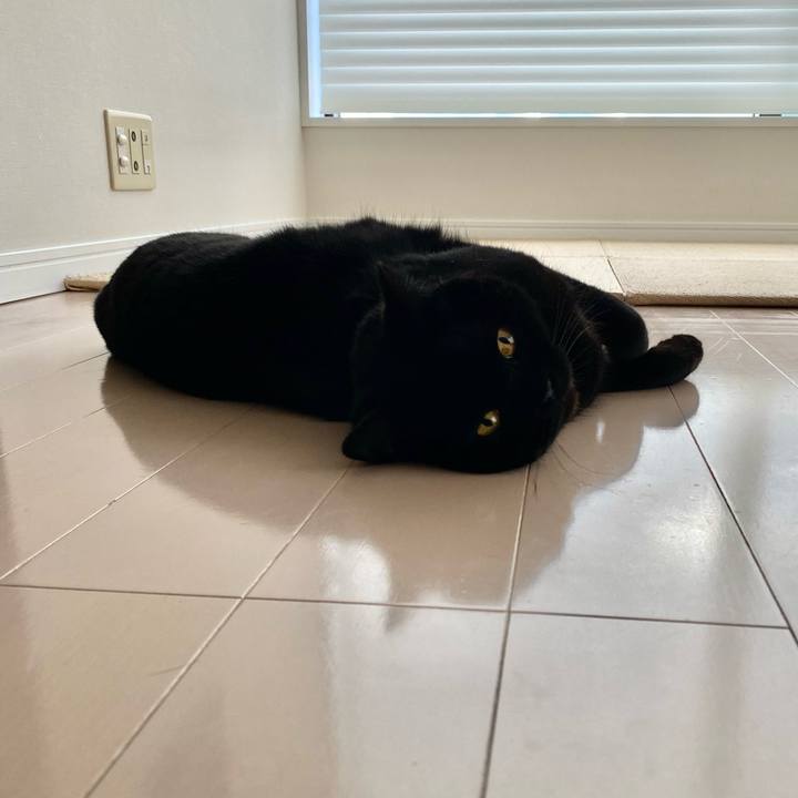 Fc021b42 3911 4452 a2f6 b0ad8f1abfa6 1714691689199