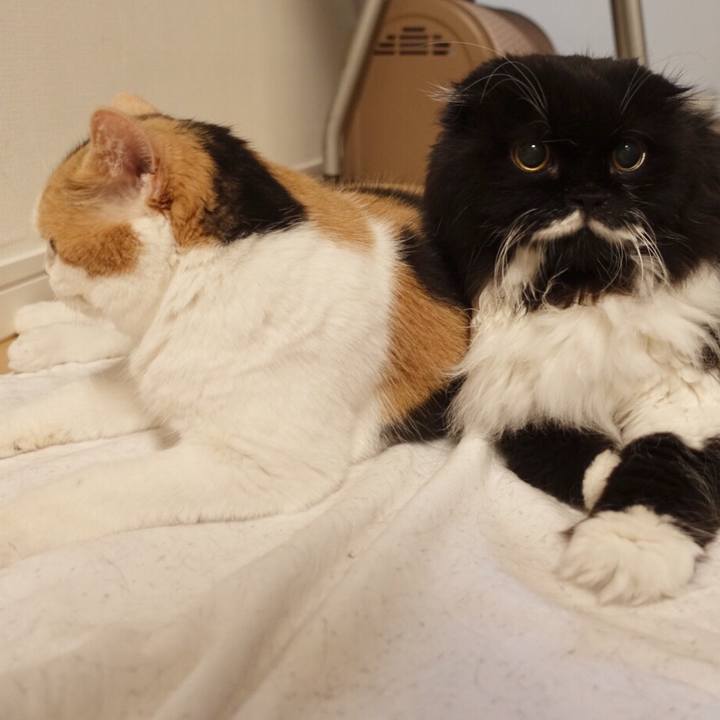 Fc025c54 68dd 4ffc 9a35 67e963fc9c90 1540863143807