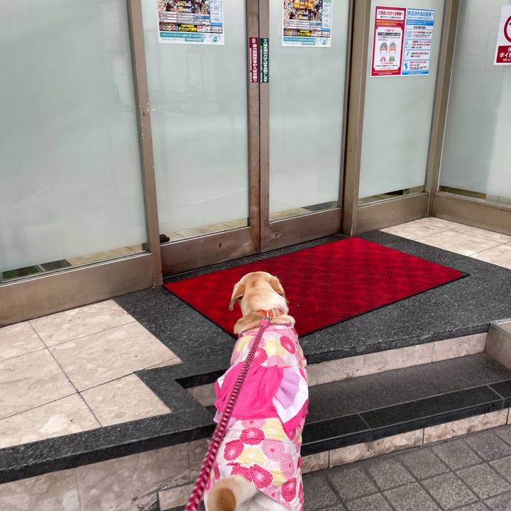 Fc02752a 0000 41c9 a536 6ed6150c0606 1628578255223