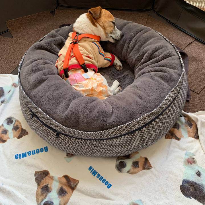 Fc0287d5 0183 4ce9 957f 6c851043ee30 1646463434742