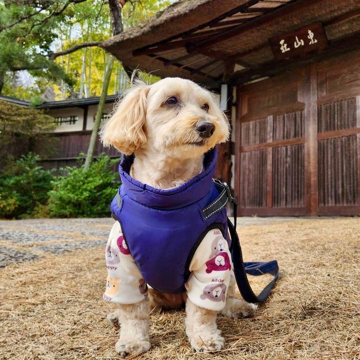 Fc02b4ad 9d19 4ae7 8b67 4eb3d9a8874b 1767414044546