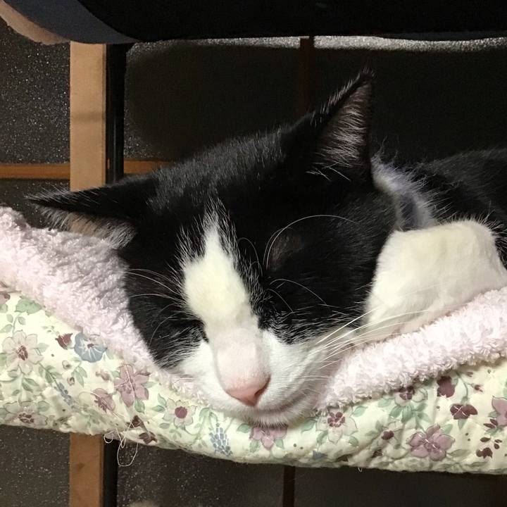 Fc032630 4834 4968 892c 0234cba798ff 1670503876793