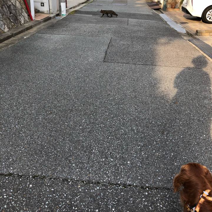 Fc033b63 6ca4 423e b0aa 732e5c6760e4 1615847136763