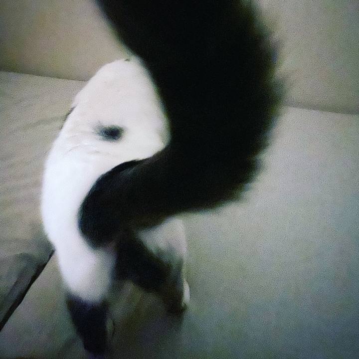 Fc037f29 c8f9 4ec2 a15f 5b789c6695cd 1570214853354