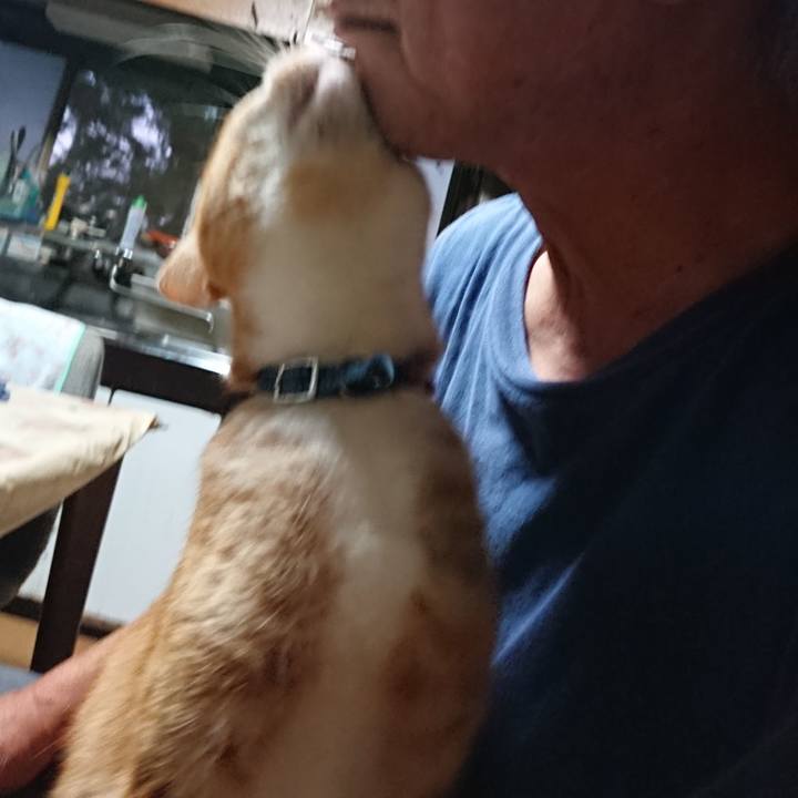 Fc03afd2 e2a5 4263 ad3b e41d5a58cda5 1599336795418