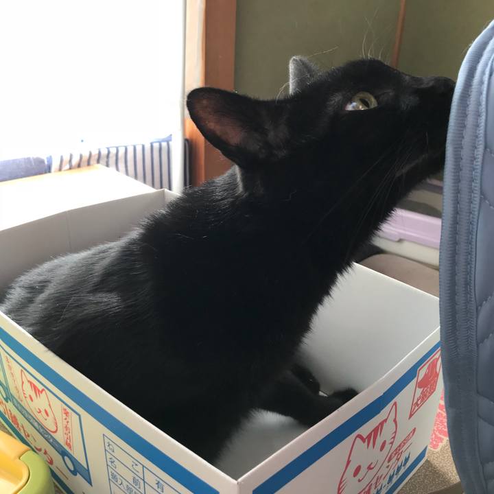 Fc03bdf9 3f7e 4cf9 8be7 a036c65b744a 1535243121827