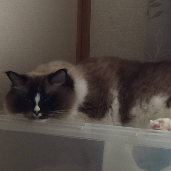 Fc03c6d3 f348 4442 810b a247041dbf70 1513115511705