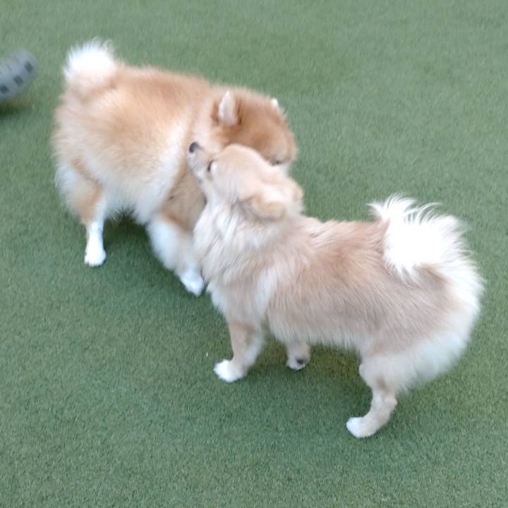 Fc03dece 3755 4ec0 b7ed 95efad700f14 1733104665884