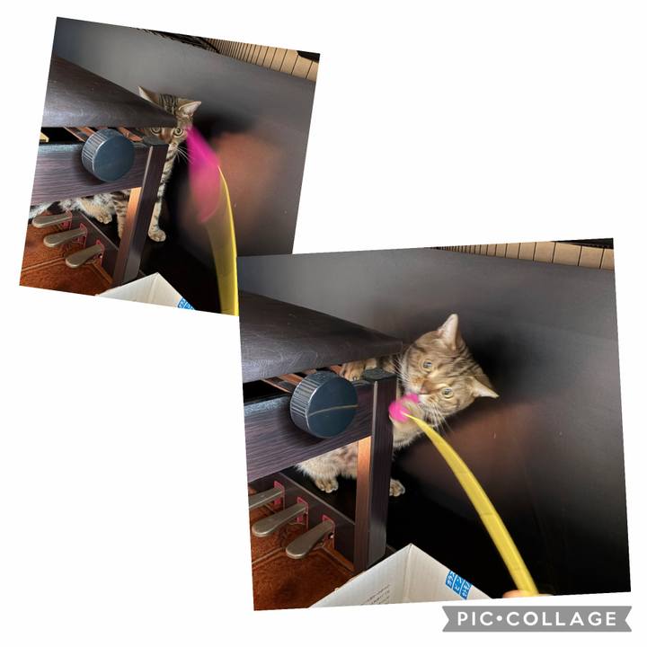 Fc03f933 39b9 4e5a 8e33 1ada8cc4d858 1765079311326