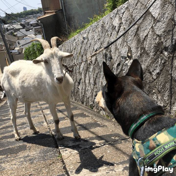 Fc04257c a1cd 4cf3 8a29 fe763965f6f5 1525578896117