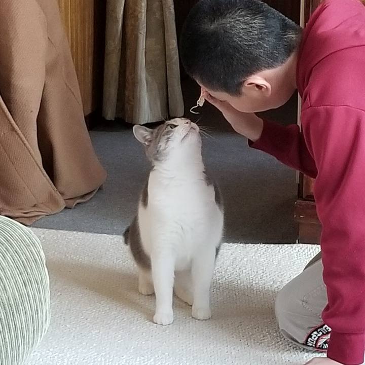 Fc04865d 7e92 44fe 86db 1091b8bd7092 1553927810930