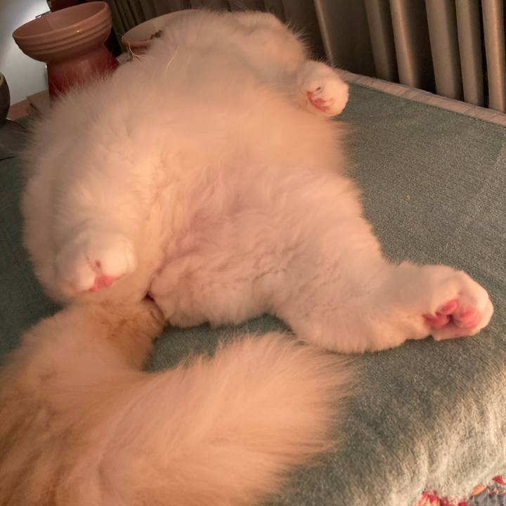 Fc049cc1 fe85 4f8a 9adb a0b38ae1faff 1629505629216