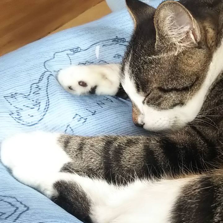 Fc04c84b cd3a 4e38 966c dff573efb76f 1608601260559