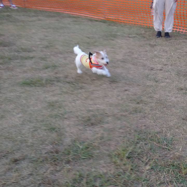 Fc04f46c 14cf 4eae a18b 034539811649 1756034603423