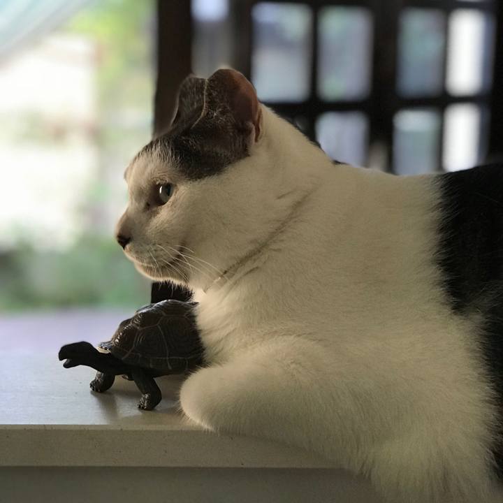 Fc04fba5 b4d9 4a62 a5ce ee9eee1d2518 1530673572745