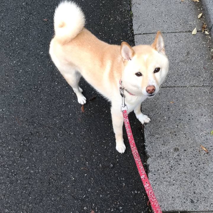 Fc0502a9 3170 4817 88f5 ecb757a5afb4 1561986177626