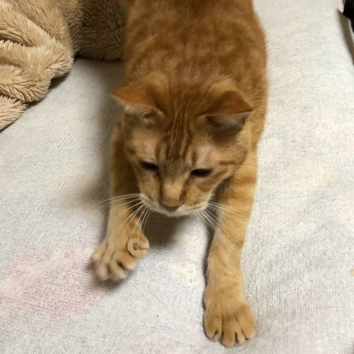 Fc052176 6585 44dd b453 8ca2be47bf81 1603879331769