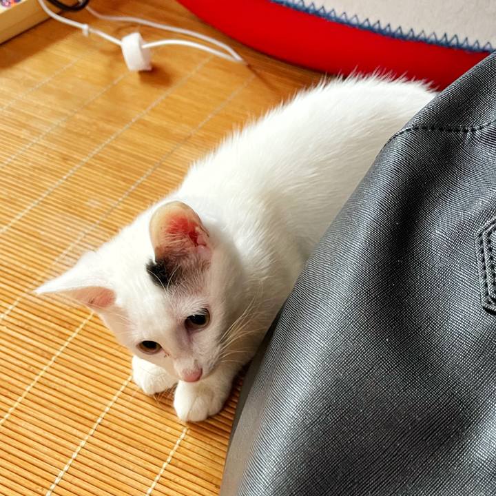 Fc05548a b695 477e b59a 9e62c985b5f2 1673660710004