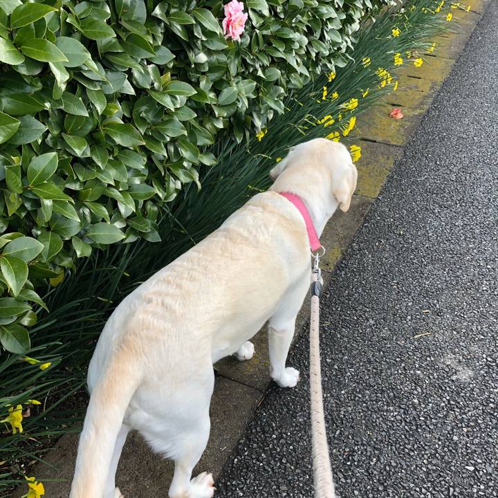 Fc05583f 039e 445a 82d6 9e9e7b2d9131 1583883317424