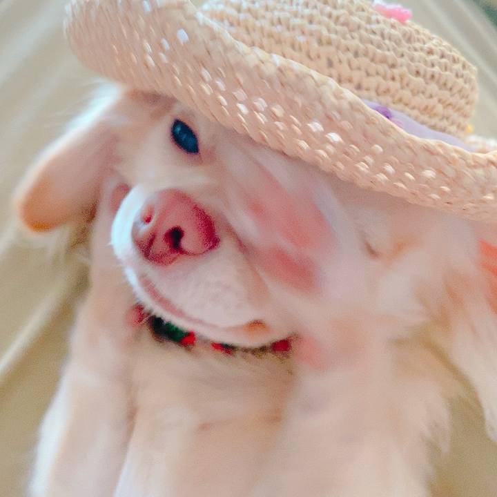 Fc05654a 0d3b 4e2d a641 048f996e2abb 1627548829653