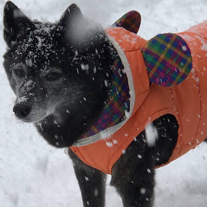 Fc05b9b2 138b 4f4d aa20 dc2215a05476 1615290526846