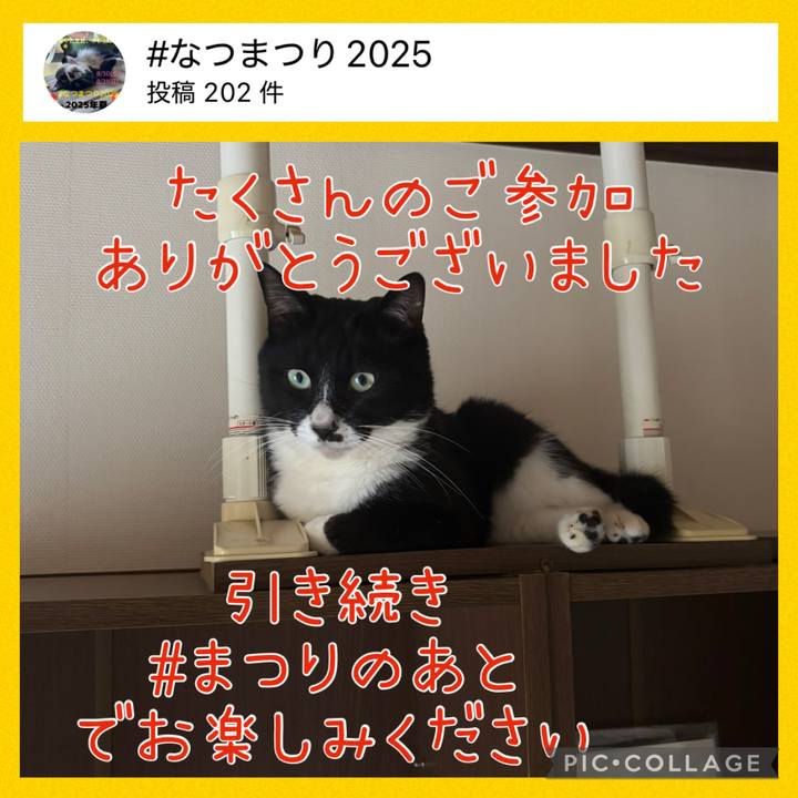Fc05cfb2 fe01 4a49 93dc 9fcafc1646aa 1756673755807