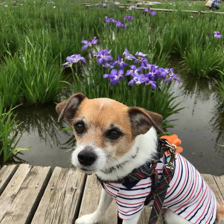 Fc05daf9 4591 460a ae74 e993254a55bc 1559386265669