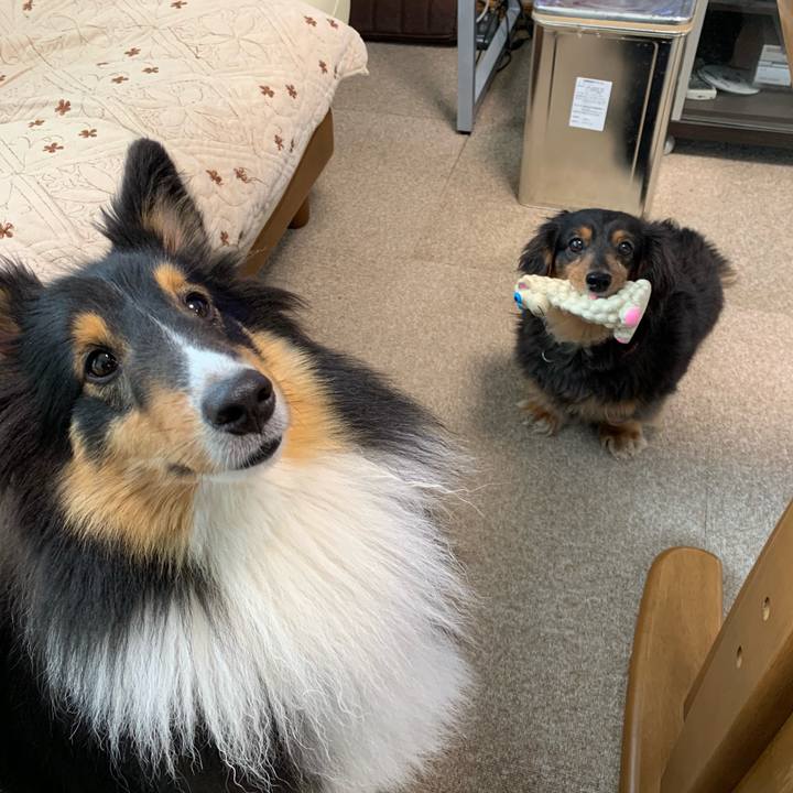 Fc061138 9662 4aef 8a4b 1145257c82b4 1560289778076