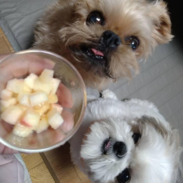 Fc0614ed b5a0 4b23 9f72 d1678a02a770 1660271197041