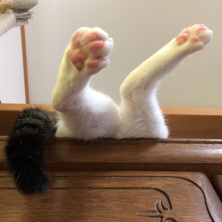 Fc067f1c 5654 46ef 829e 0e88806360da 1595322619456