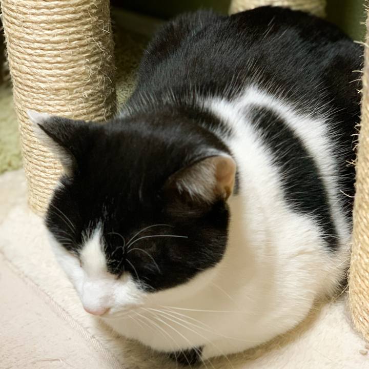 Fc06c6a9 637f 4346 a0dd 07aa47f3f281 1577407349790