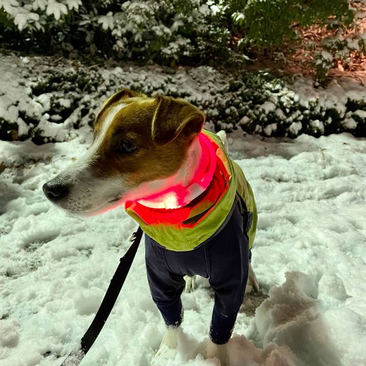 Fc06ce26 d5ab 438b b65a 4102a36469a1 1641476784619