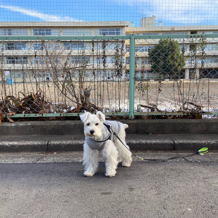 Fc06da13 438c 493a ab39 fc2f56b166a8 1767573111211