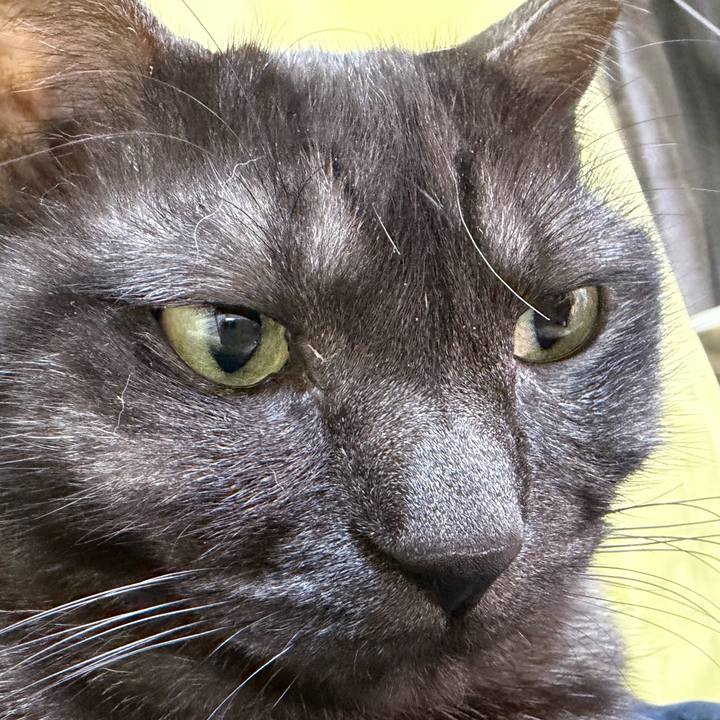 Fc06ee6c bb1a 47a0 8551 6eed43d45b7c 1770563462900