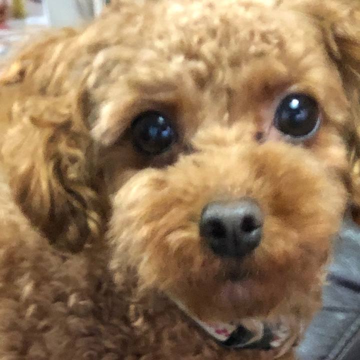 Fc072bd3 c694 48bf 8703 65199820fd22 1525950379100