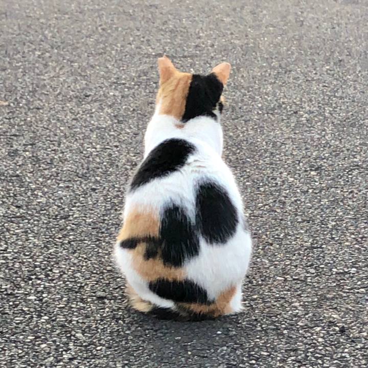 Fc073700 3f5f 4ee4 b5c2 586f5196c240 1620037817865